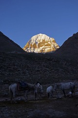 _DSC3789_2