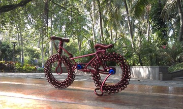 IMAG0859.jpg