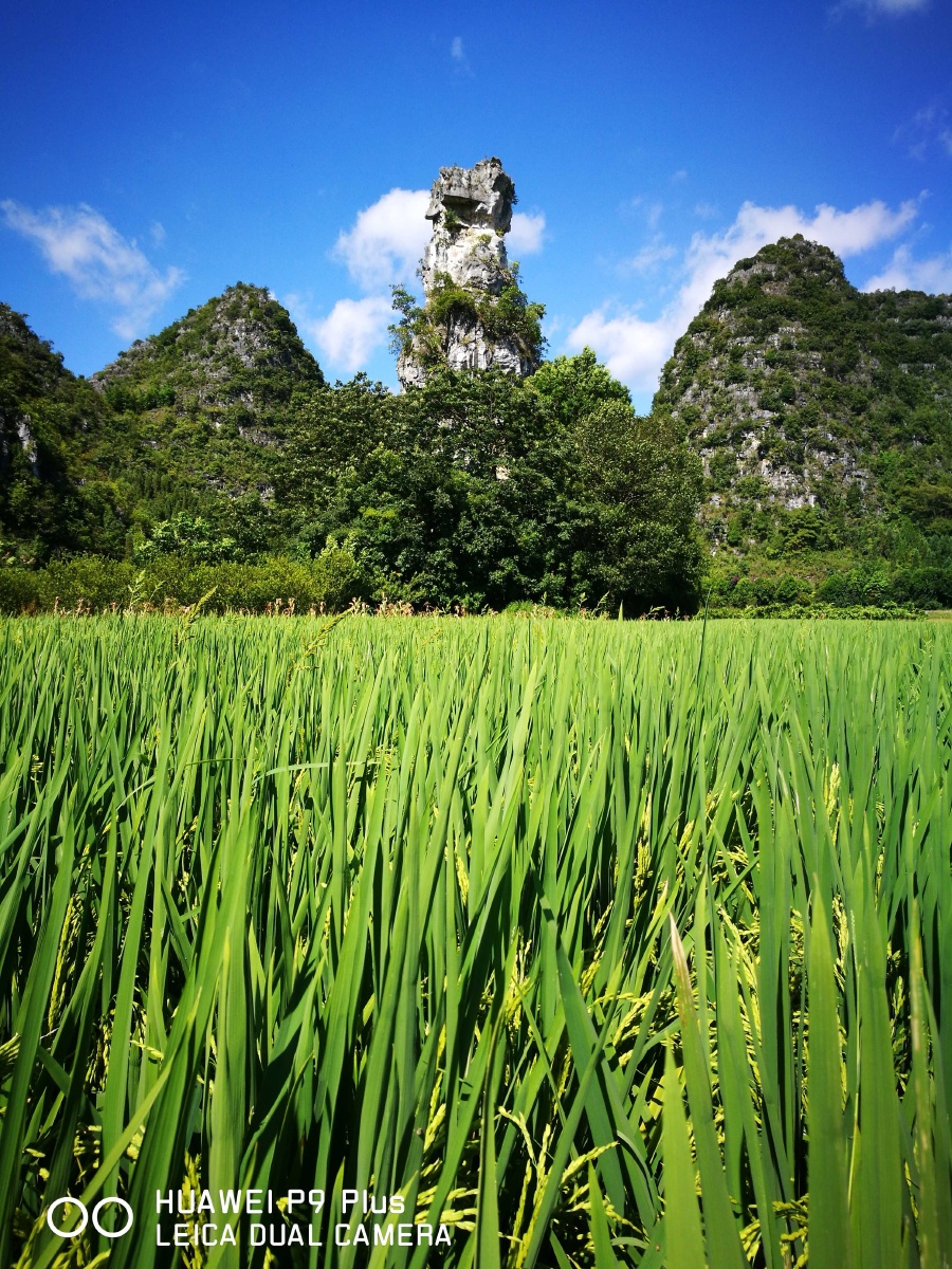 兴义万峰林景区将军峰
