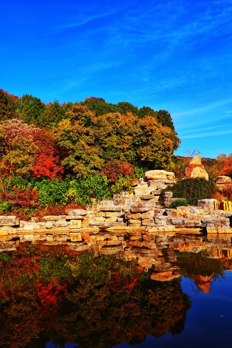 每日一景北京西山国家森林公园