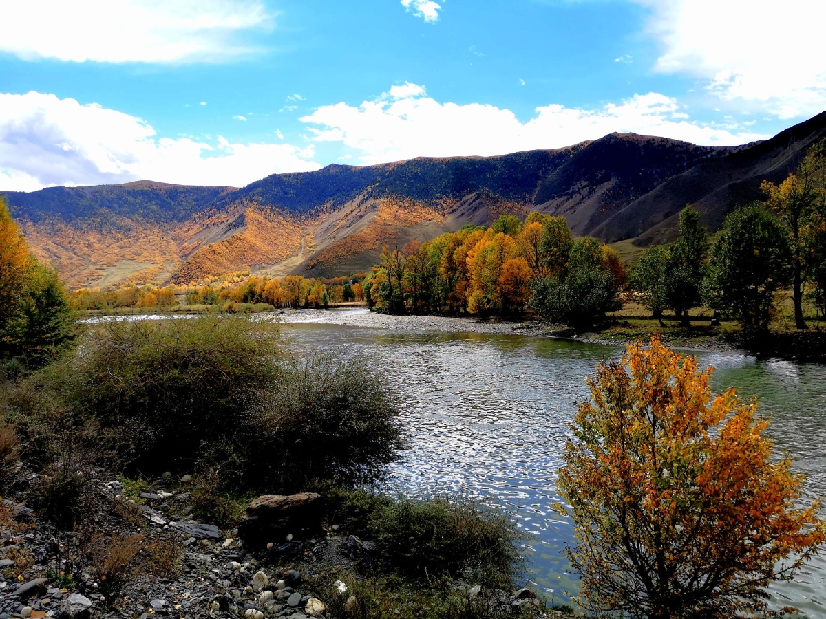 每日一景新都桥十里画廊