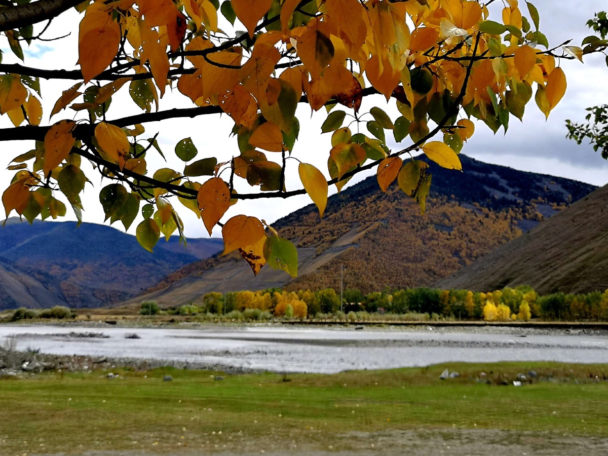 每日一景新都桥十里画廊