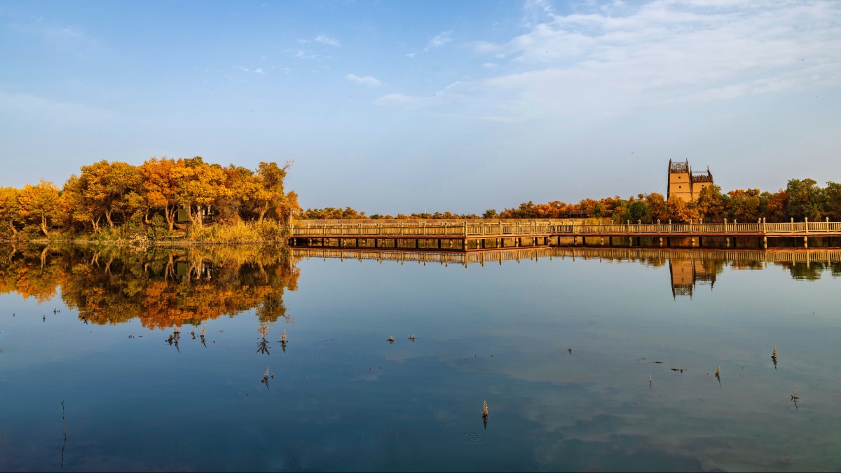 每日一景新疆额什巴楚县境内的红海胡杨林