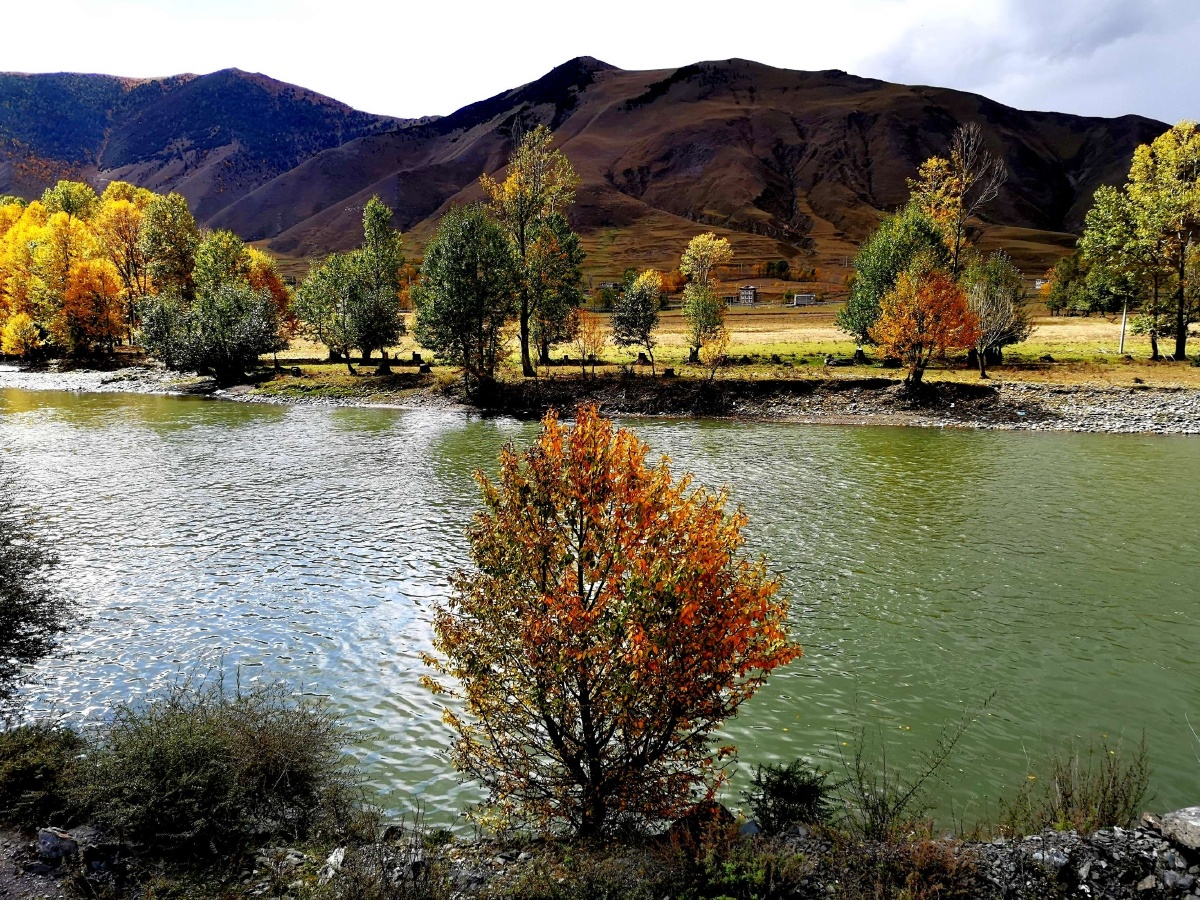 每日一景新都桥十里画廊