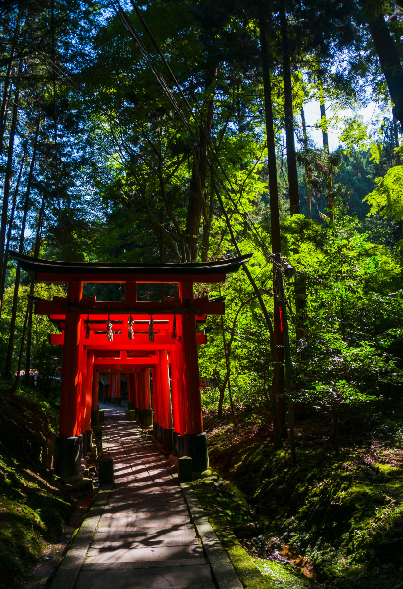 0915日本-day6,7-京都 - 大脸儿洋子 - 图虫网 - 优质摄影师交流社区