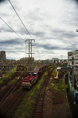 DSC00511_1