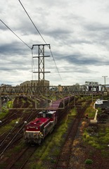 DSC00511_2