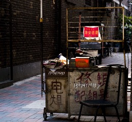 DSC00965_1