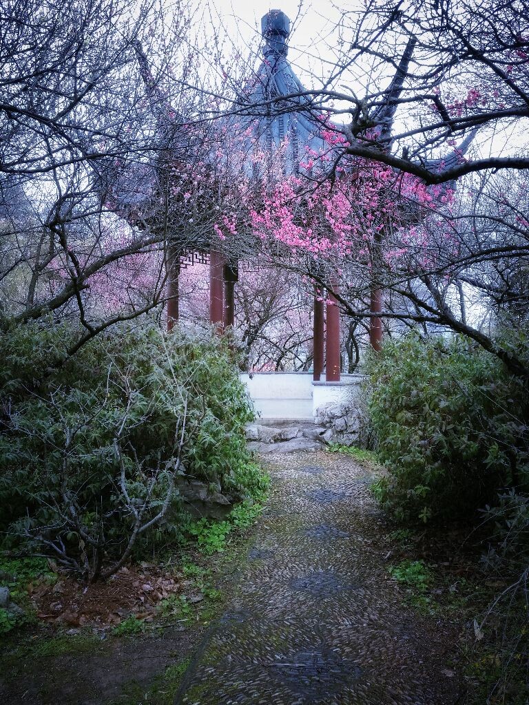 梅花亭