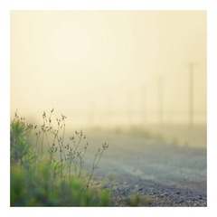 DSC_4231-3.jpg