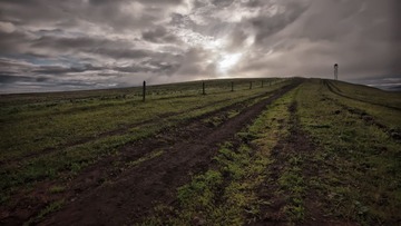DSC_6649.jpg