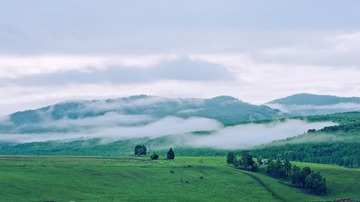 DSC_6638.jpg