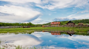 DSC_6303.jpg