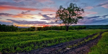 DSC_6369.jpg