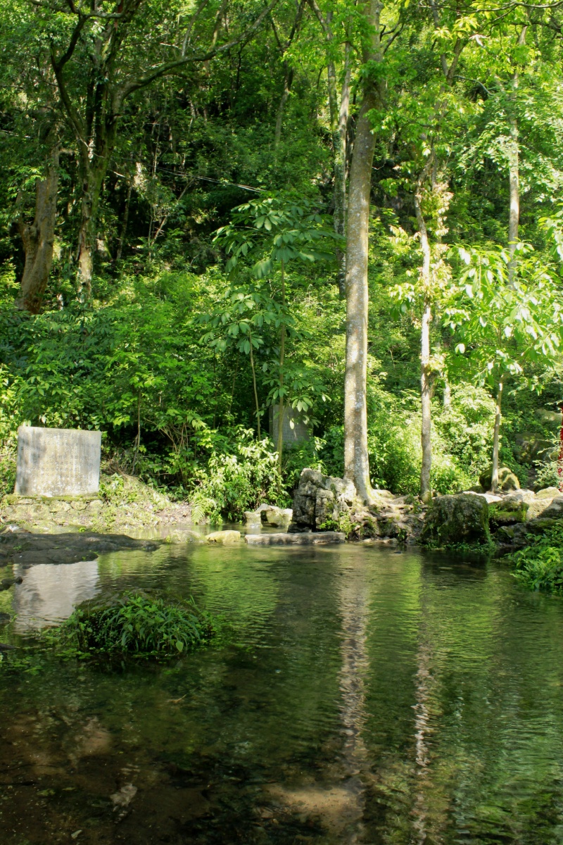 兴义市郑屯镇的间歇泉深山腹中流出的一股碧水炎热夏天的的一汪清凉