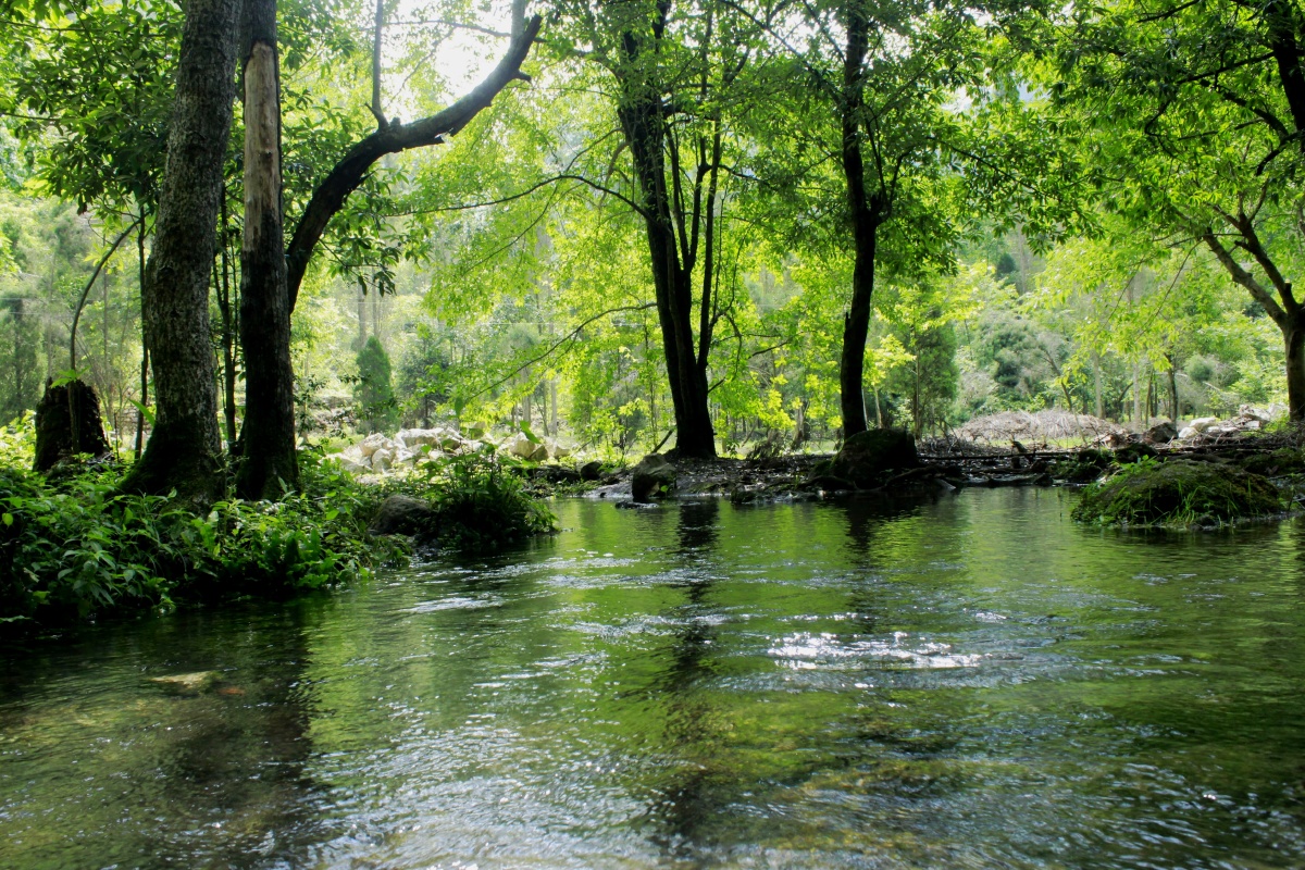 兴义市郑屯镇的间歇泉深山腹中流出的一股碧水炎热夏天的的一汪清凉
