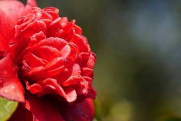 1031616