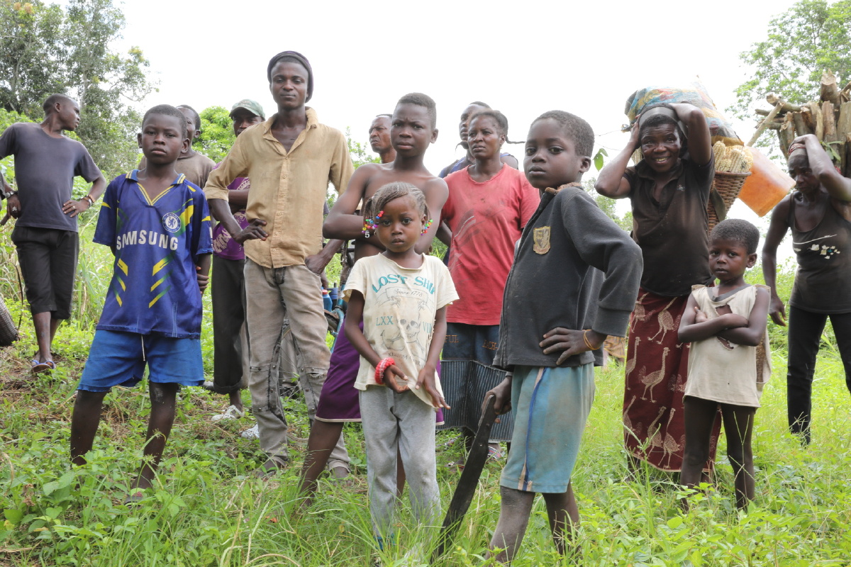 非洲说的矮人部落俾格米人,是世界上最矮小的的种族,这些矮人部落的人