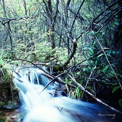 DSC01579-2.jpg