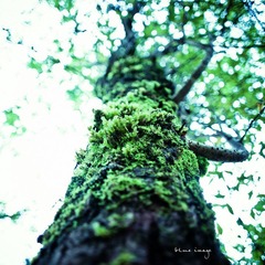 DSC01583-4.jpg