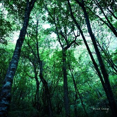DSC01605-6.jpg
