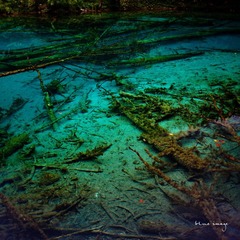 DSC01747-25.jpg