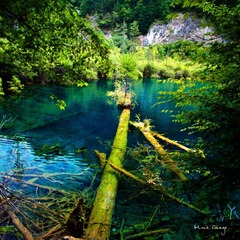 DSC01774-29.jpg