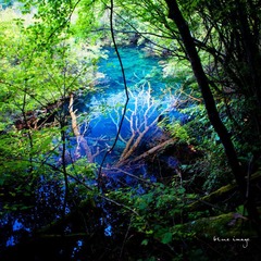 DSC01784-30.jpg