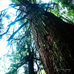 DSC01789-33.jpg