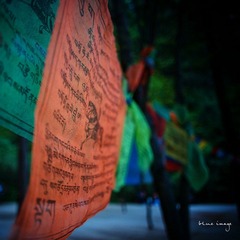 DSC01813-40.jpg