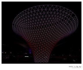 EXPO In My Eye