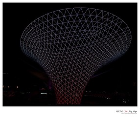 EXPO In My Eye