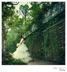 Today I Marry You