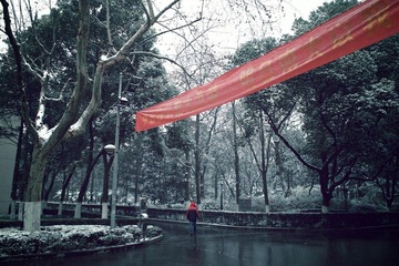 SDIM3653