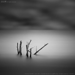“_DSC1481”为智能对象-okx