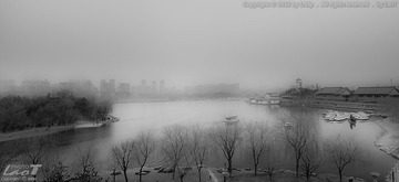 “_DSC3576”为智能对象-1+logo
