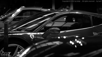 “_DSC6729”为智能对象-1+logo