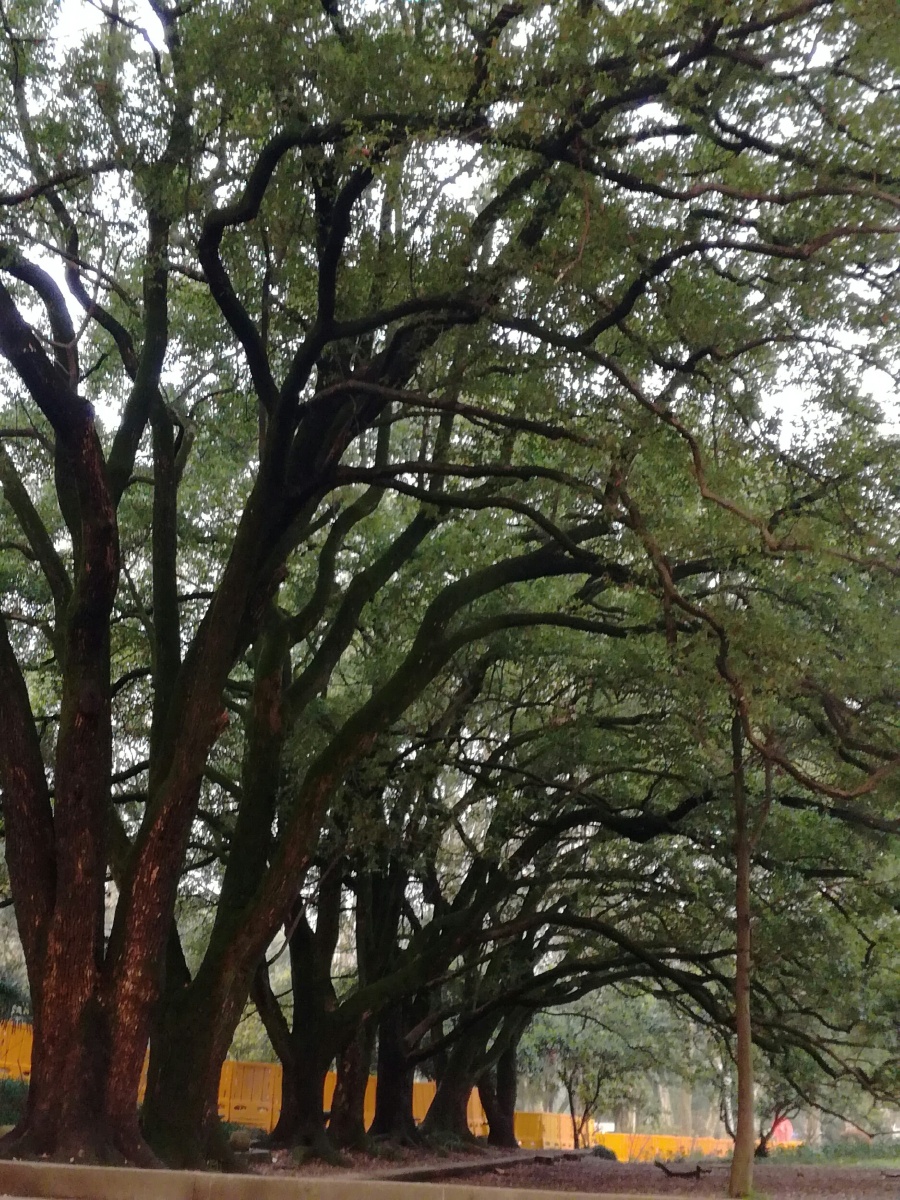 随手拍 - 阎王764 - 图虫网 - 优质摄影师交流社区