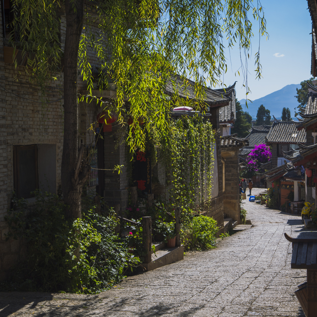 丽江慢生活之一