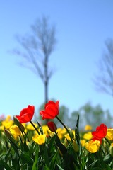 IMG_3961.JPG