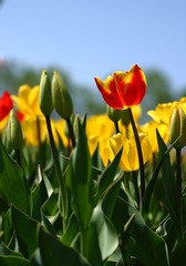 IMG_3968.JPG