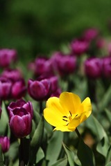 IMG_3839.JPG