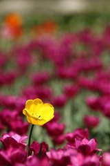 IMG_3856.JPG