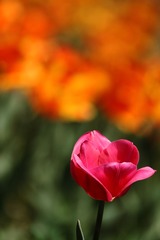 IMG_3866.JPG