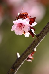 IMG_3902.JPG