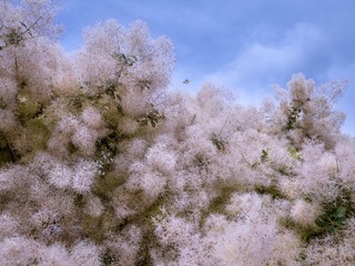 P1050222