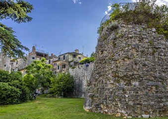 P1050229
