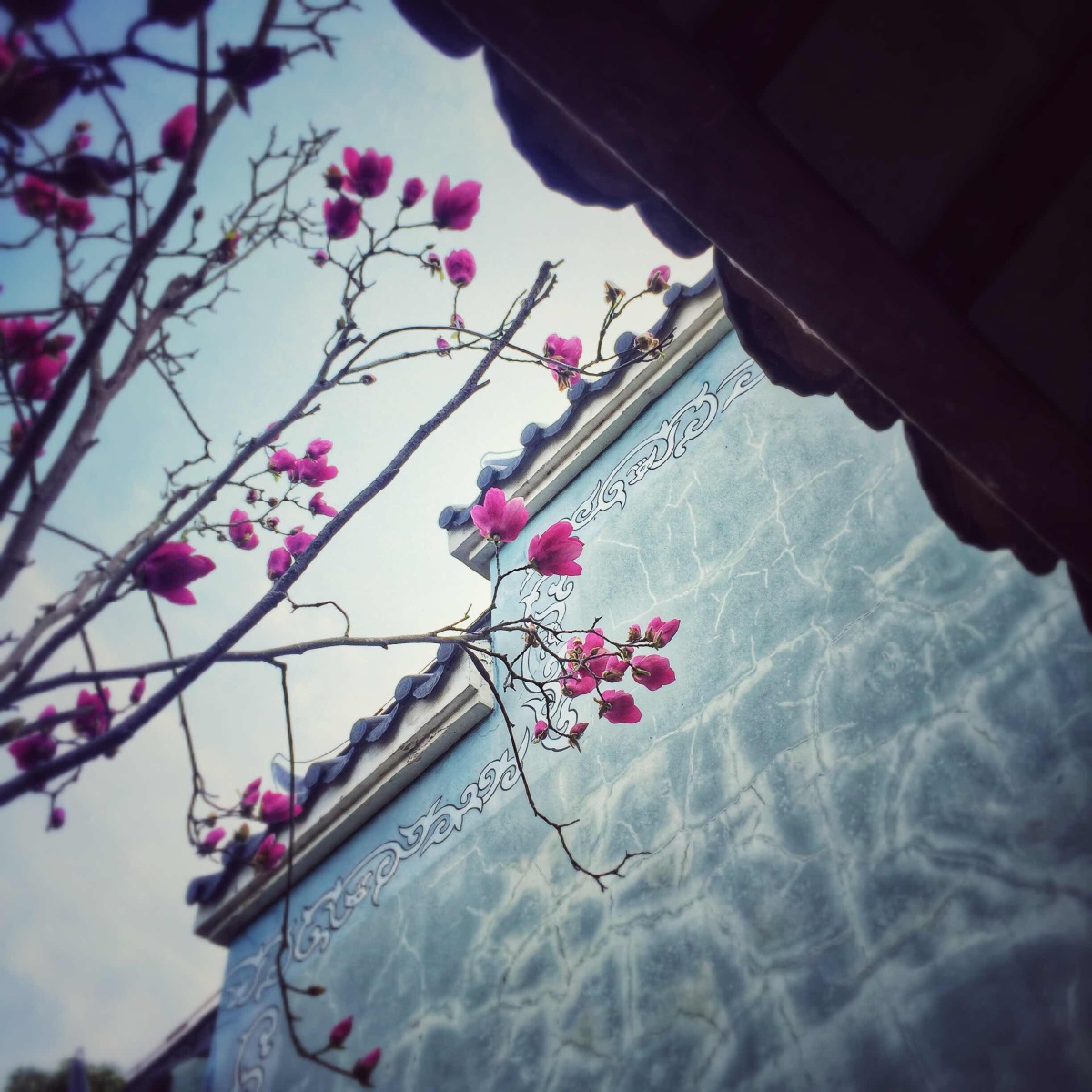 "拂墙花影动,疑是玉人来.