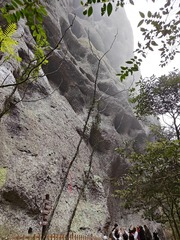 1000016371