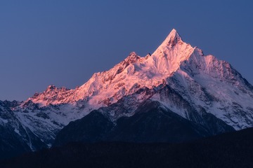 1000166522